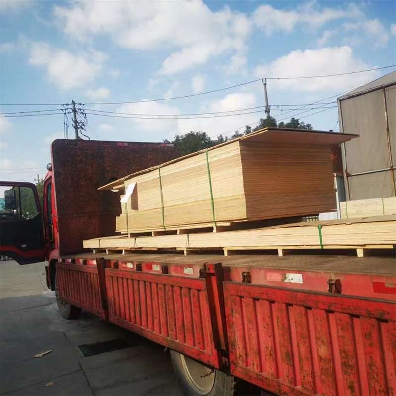 福建南平顺昌县至塔城货运专线，一站式物流服务助您成功
